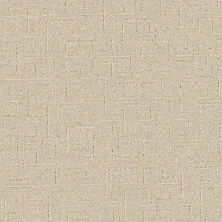 Anderson Tuftex Path — Dry Creek · ZZ293-00172 — flooring selection with LeviArs Design & Remodeling
