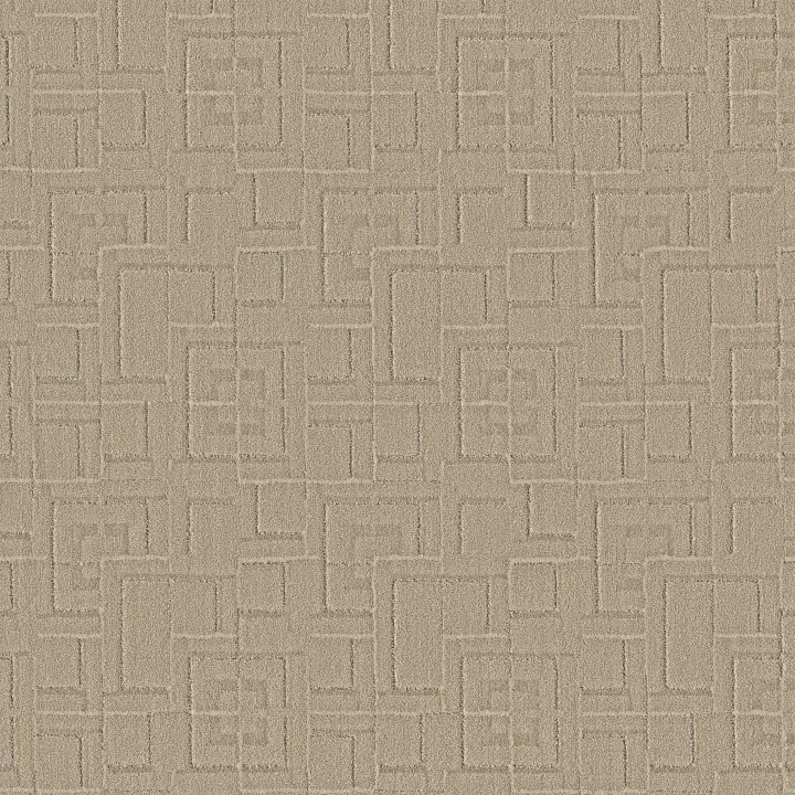 Anderson Tuftex Path — Dusty Dream · ZZ293-00173 — flooring selection with LeviArs Design & Remodeling