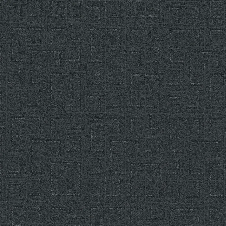 Anderson Tuftex Path — Enchanted Eve · ZZ293-00448 — flooring selection with LeviArs Design & Remodeling