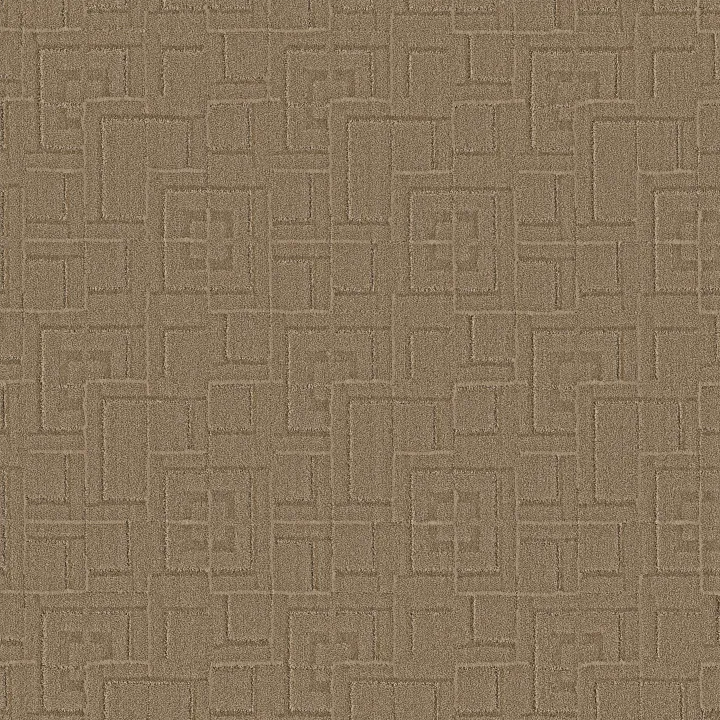 Anderson Tuftex Path — Plains · ZZ293-00773 — flooring selection with LeviArs Design & Remodeling