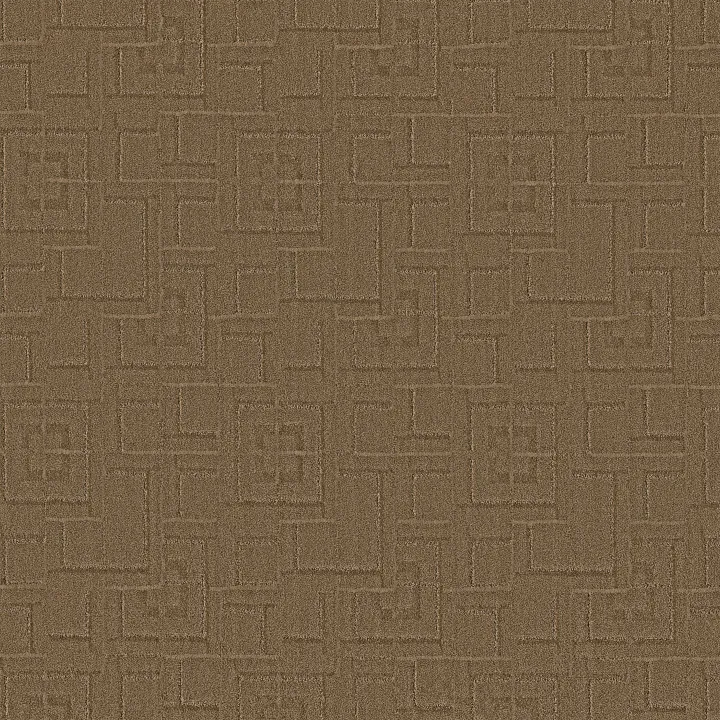 Anderson Tuftex Path — Trail · ZZ293-00776 — flooring selection with LeviArs Design & Remodeling