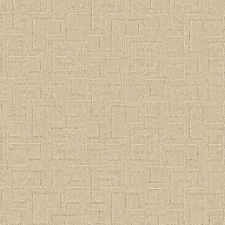 Anderson Tuftex Path — Warm Light · ZZ293-00124 — flooring selection with LeviArs Design & Remodeling