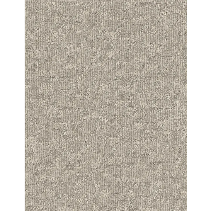 Anderson Tuftex Paw-Tay — Bennington · ZZ221-00152 — flooring selection with LeviArs Design & Remodeling