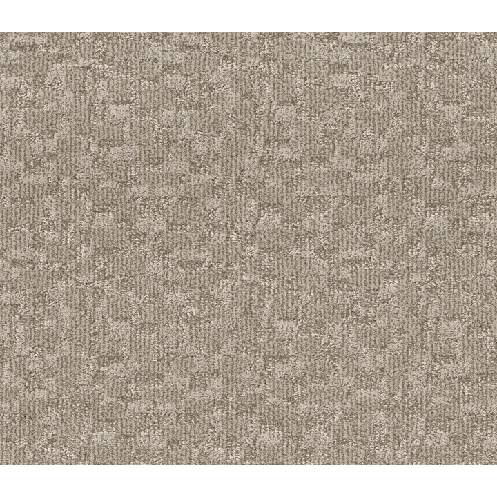 Anderson Tuftex Paw-Tay — Birch · ZZ221-00173 — flooring selection with LeviArs Design & Remodeling