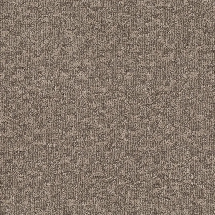 Anderson Tuftex Paw-Tay — Danville · ZZ221-00273 — flooring selection with LeviArs Design & Remodeling