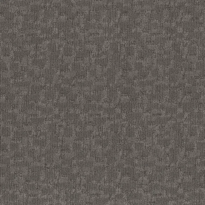 Anderson Tuftex Paw-Tay — Kendall · ZZ221-00557 — flooring selection with LeviArs Design & Remodeling
