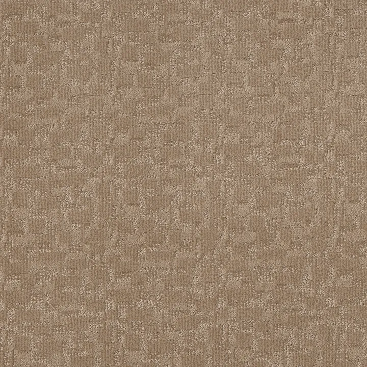 Anderson Tuftex Paw-Tay — Mystic · ZZ221-00274 — flooring selection with LeviArs Design & Remodeling