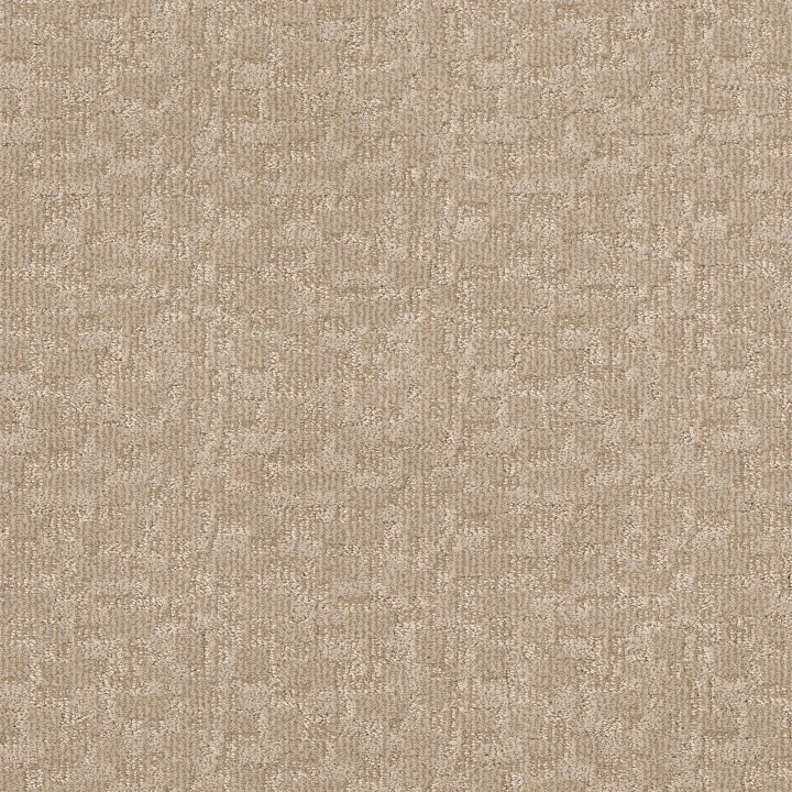 Anderson Tuftex Paw-Tay — Old Country · ZZ221-00122 — flooring selection with LeviArs Design & Remodeling