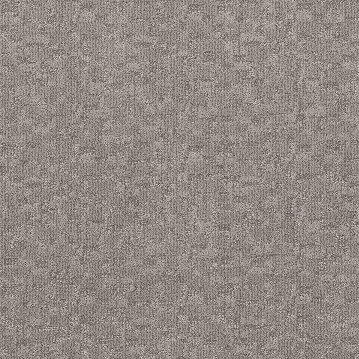 Anderson Tuftex Paw-Tay — Rockport · ZZ221-00556 — flooring selection with LeviArs Design & Remodeling