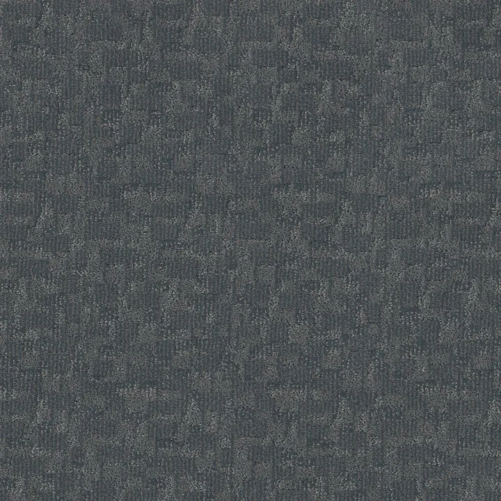 Anderson Tuftex Paw-Tay — Waterbury · ZZ221-00435 — flooring selection with LeviArs Design & Remodeling
