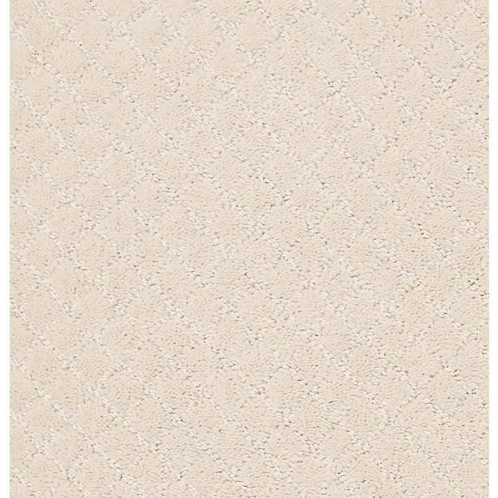 Anderson Tuftex Pawnache — Barely Beige · ZZ080-00111 — flooring selection with LeviArs Design & Remodeling