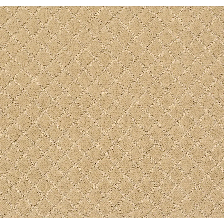 Anderson Tuftex Pawnache — Cork · ZZ080-00223 — flooring selection with LeviArs Design & Remodeling