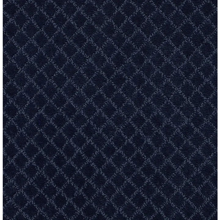 Anderson Tuftex Pawnache — Downpour · ZZ080-00445 — flooring selection with LeviArs Design & Remodeling