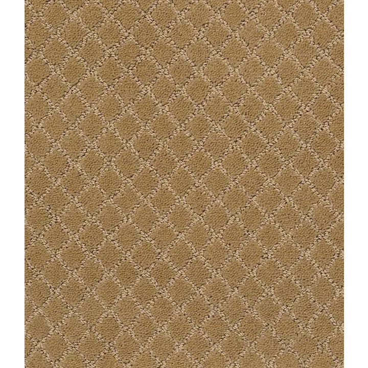Anderson Tuftex Pawnache — Golden Straw · ZZ080-00224 — flooring selection with LeviArs Design & Remodeling