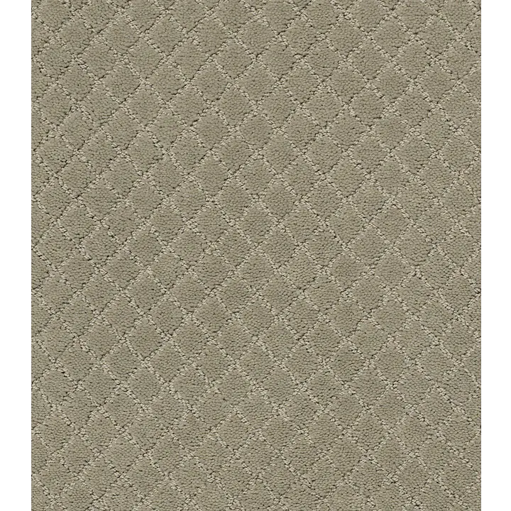 Anderson Tuftex Pawnache — Gray Mirage · ZZ080-00533 — flooring selection with LeviArs Design & Remodeling