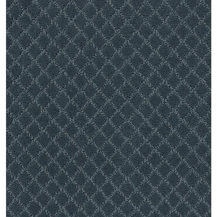 Anderson Tuftex Pawnache — Nimbus · ZZ080-00455 — flooring selection with LeviArs Design & Remodeling