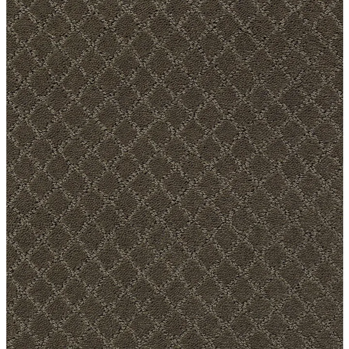 Anderson Tuftex Pawnache — Overcoat · ZZ080-00716 — flooring selection with LeviArs Design & Remodeling