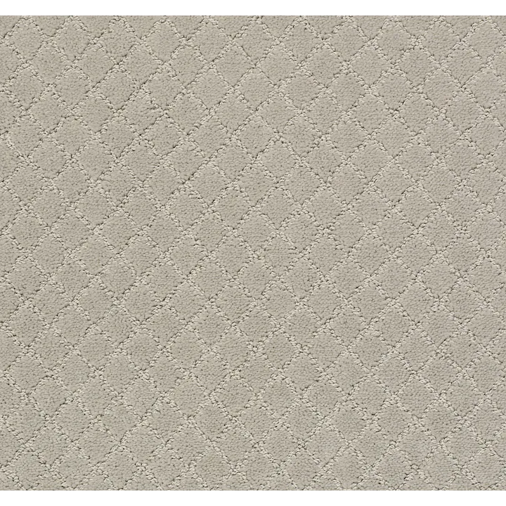 Anderson Tuftex Pawnache — Silver Fox · ZZ080-00511 — flooring selection with LeviArs Design & Remodeling
