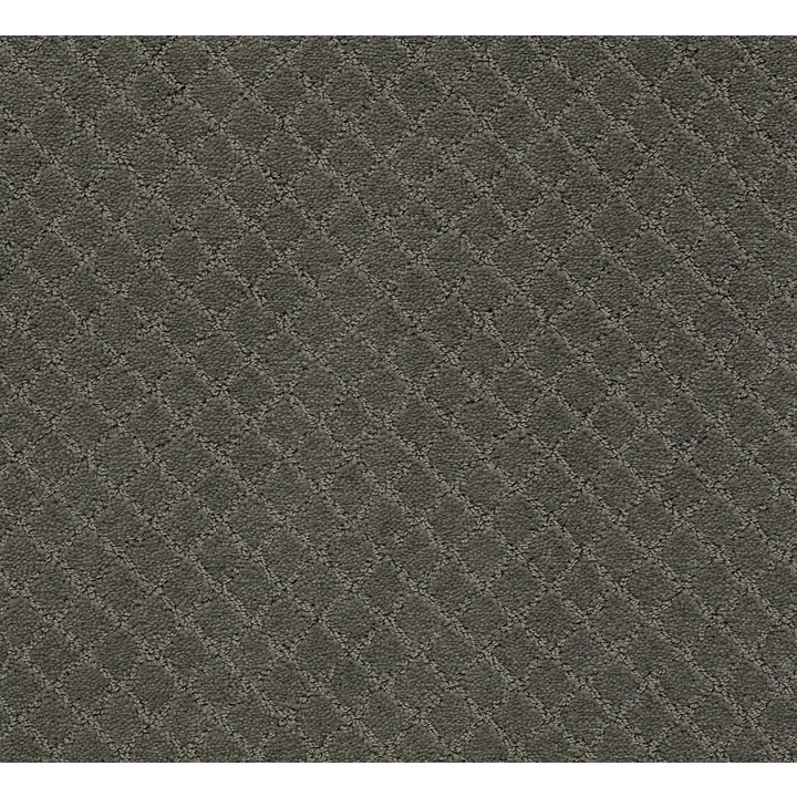 Anderson Tuftex Pawnache — Smoked Oyster · ZZ080-00576 — flooring selection with LeviArs Design & Remodeling