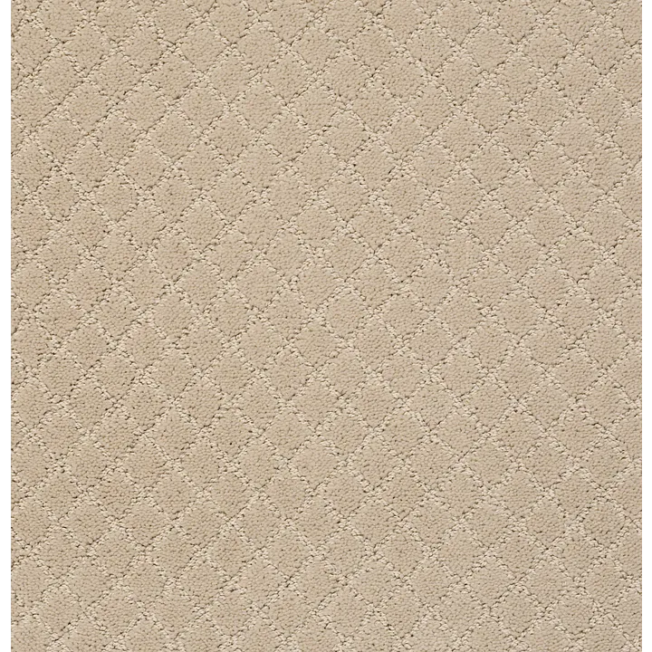 Anderson Tuftex Pawnache — Toffee Cream · ZZ080-00183 — flooring selection with LeviArs Design & Remodeling