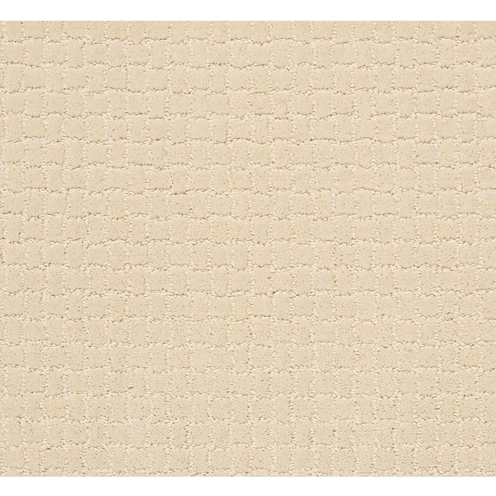 Anderson Tuftex Pawstruck — Antiquity · ZZ081-00121 — flooring selection with LeviArs Design & Remodeling