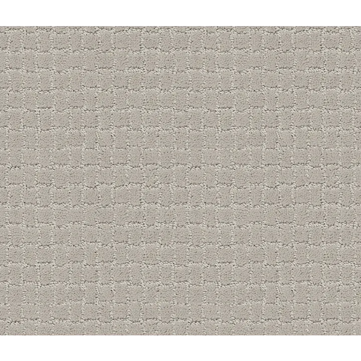 Anderson Tuftex Pawstruck — Calm · ZZ081-00510 — flooring selection with LeviArs Design & Remodeling