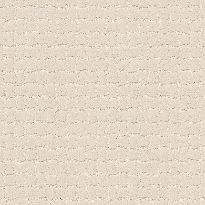 Anderson Tuftex Pawstruck — Capri Coast · ZZ081-00181 — flooring selection with LeviArs Design & Remodeling