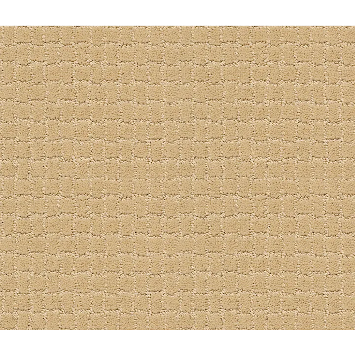 Anderson Tuftex Pawstruck — Cork · ZZ081-00223 — flooring selection with LeviArs Design & Remodeling