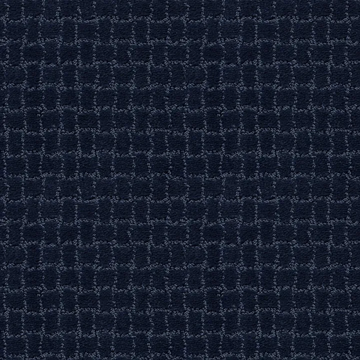 Anderson Tuftex Pawstruck — Downpour · ZZ081-00445 — flooring selection with LeviArs Design & Remodeling