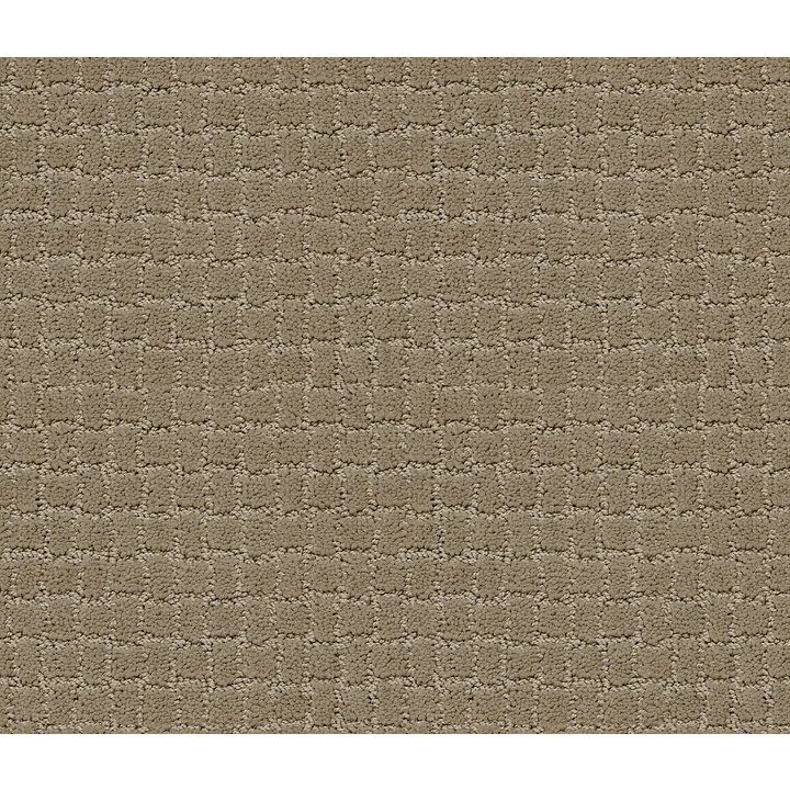 Anderson Tuftex Pawstruck — Driftwood · ZZ081-00712 — flooring selection with LeviArs Design & Remodeling