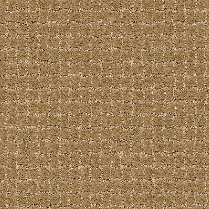Anderson Tuftex Pawstruck — Golden Straw · ZZ081-00224 — flooring selection with LeviArs Design & Remodeling