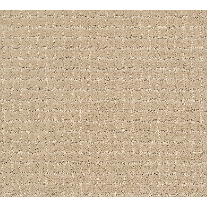 Anderson Tuftex Pawstruck — Hazelnut · ZZ081-00113 — flooring selection with LeviArs Design & Remodeling