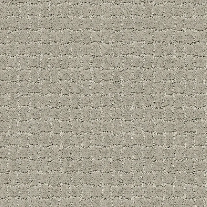 Anderson Tuftex Pawstruck — Meditation · ZZ081-00531 — flooring selection with LeviArs Design & Remodeling