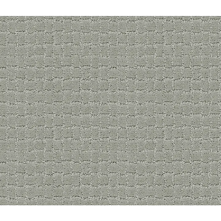 Anderson Tuftex Pawstruck — Misty Lake · ZZ081-00451 — flooring selection with LeviArs Design & Remodeling