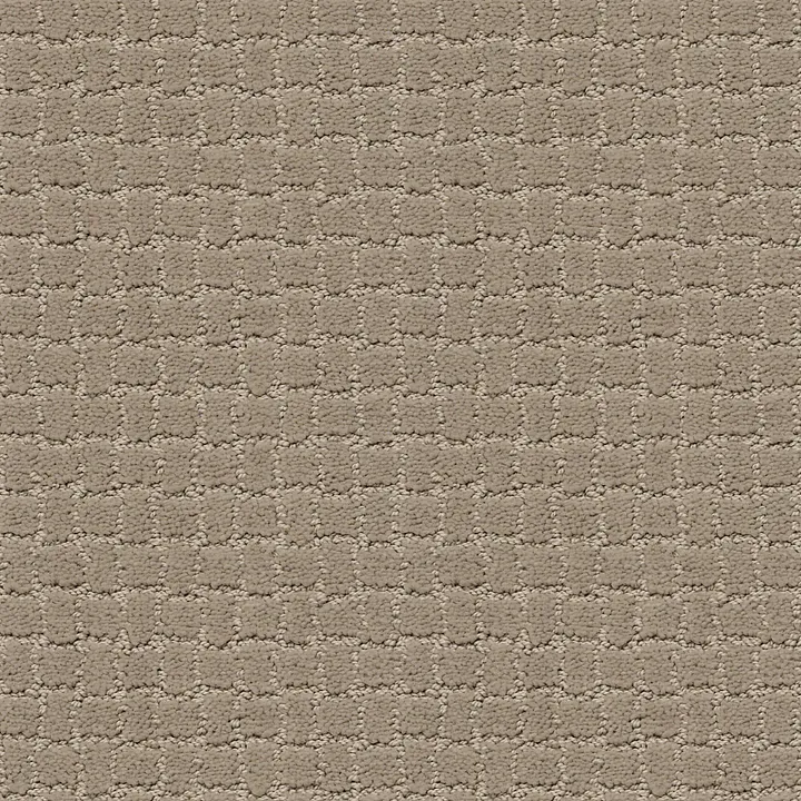 Anderson Tuftex Pawstruck — Mocha Cream · ZZ081-00711 — flooring selection with LeviArs Design & Remodeling