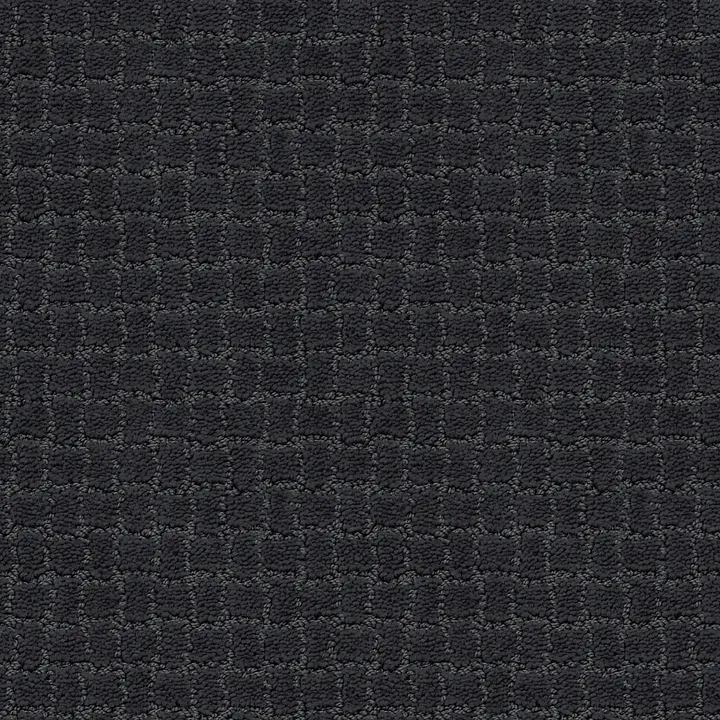 Anderson Tuftex Pawstruck — Night Shade · ZZ081-00558 — flooring selection with LeviArs Design & Remodeling