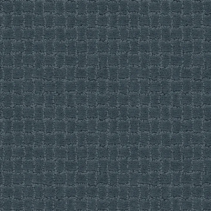Anderson Tuftex Pawstruck — Nimbus · ZZ081-00455 — flooring selection with LeviArs Design & Remodeling