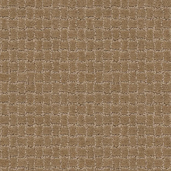 Anderson Tuftex Pawstruck — Peanut Shell · ZZ081-00186 — flooring selection with LeviArs Design & Remodeling