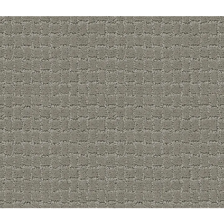 Anderson Tuftex Pawstruck — Portland · ZZ081-00512 — flooring selection with LeviArs Design & Remodeling