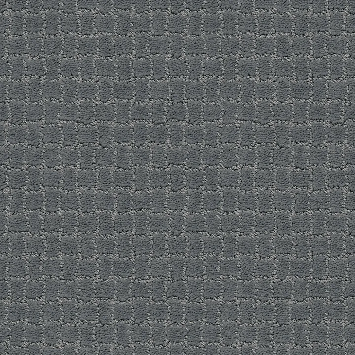 Anderson Tuftex Pawstruck — Steel Wool · ZZ081-00545 — flooring selection with LeviArs Design & Remodeling