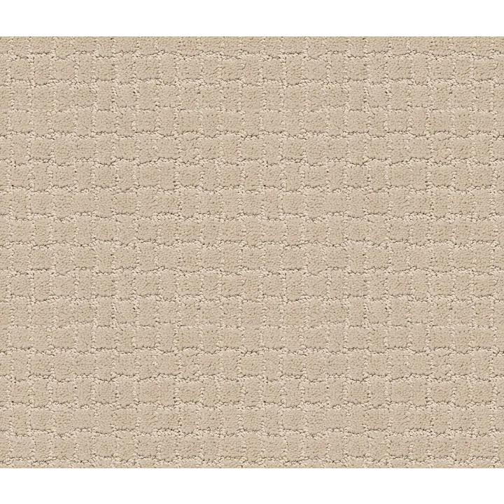 Anderson Tuftex Pawstruck — Toffee Cream · ZZ081-00183 — flooring selection with LeviArs Design & Remodeling