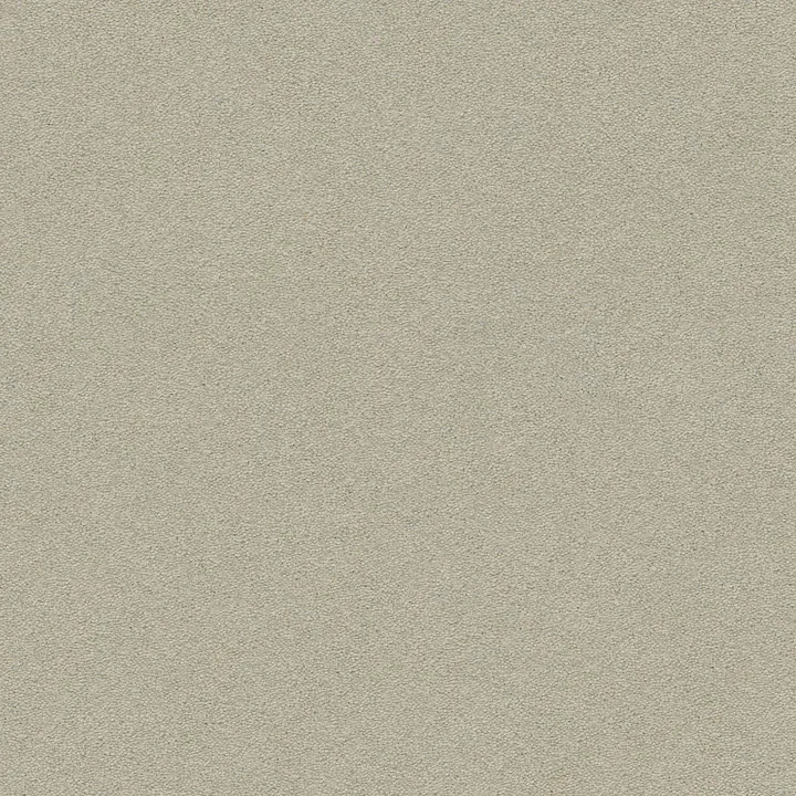 Anderson Tuftex Perfect Choice — Airship · ZZ064-00524 — flooring selection with LeviArs Design & Remodeling