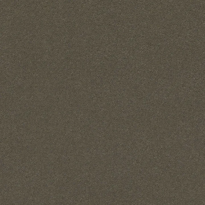 Anderson Tuftex Perfect Choice — Aluminum · ZZ064-00578 — flooring selection with LeviArs Design & Remodeling