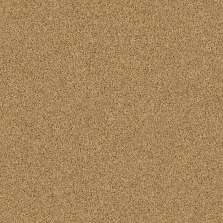 Anderson Tuftex Perfect Choice — Barley · ZZ064-00227 — flooring selection with LeviArs Design & Remodeling