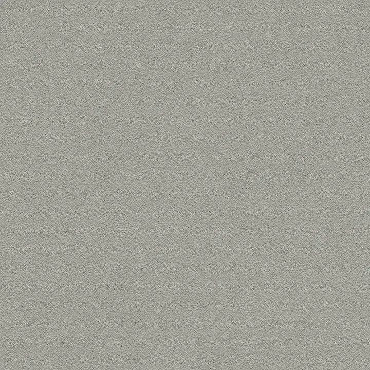 Anderson Tuftex Perfect Choice — Chelsea Fog · ZZ064-00544 — flooring selection with LeviArs Design & Remodeling