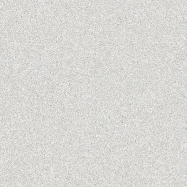 Anderson Tuftex Perfect Choice — City Rain · ZZ064-00442 — flooring selection with LeviArs Design & Remodeling