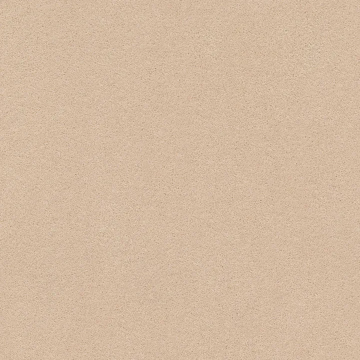 Anderson Tuftex Perfect Choice — Cocoa Sand · ZZ064-00773 — flooring selection with LeviArs Design & Remodeling