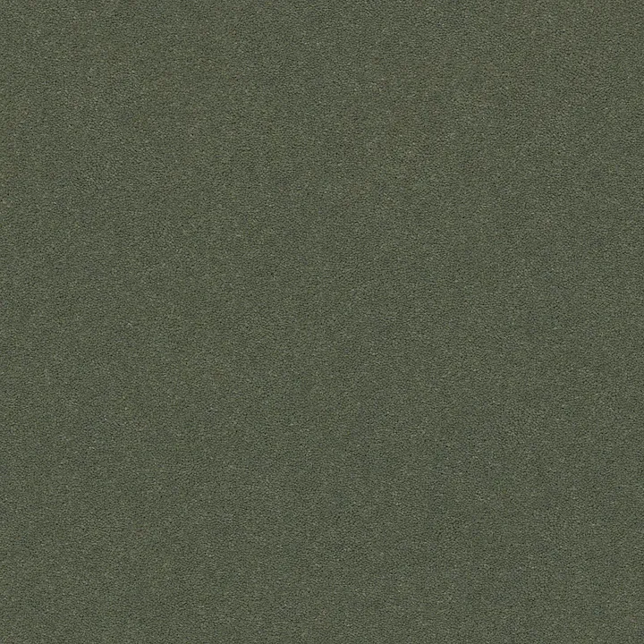 Anderson Tuftex Perfect Choice — Dynasty Green · ZZ064-00356 — flooring selection with LeviArs Design & Remodeling