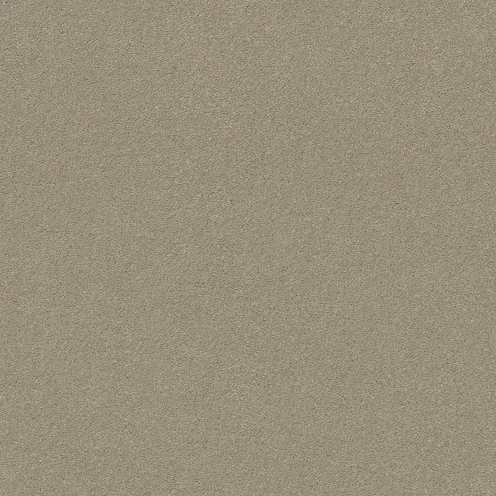 Anderson Tuftex Perfect Choice — Elephant Ear · ZZ064-00575 — flooring selection with LeviArs Design & Remodeling