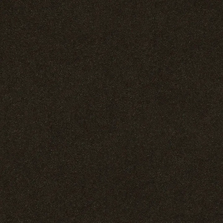 Anderson Tuftex Perfect Choice — Fir · ZZ064-00339 — flooring selection with LeviArs Design & Remodeling